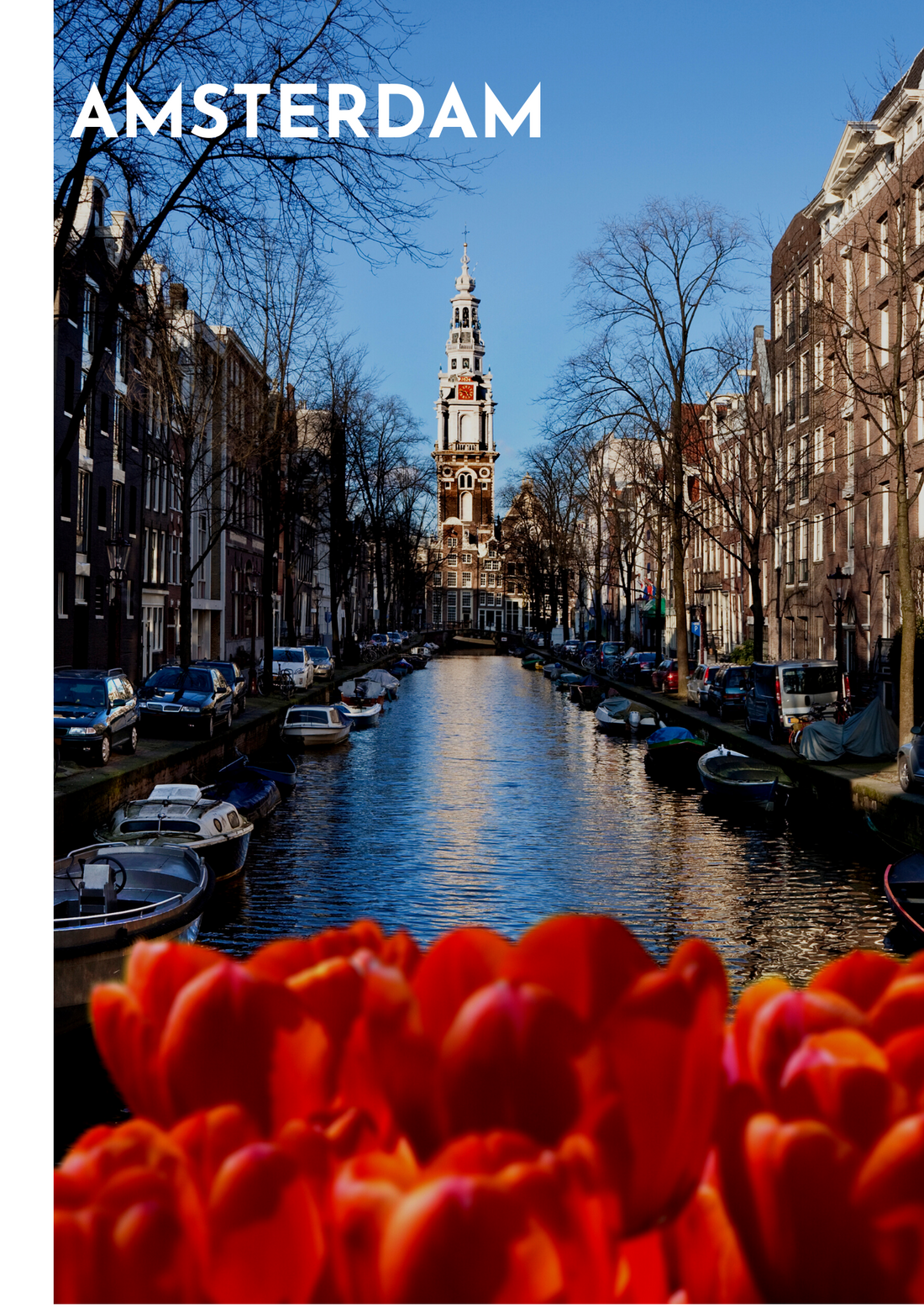 Are you ready for a quick tour in Amsterdam?