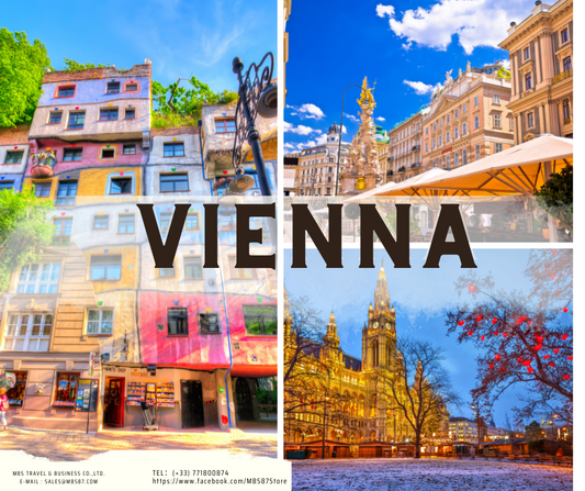 What will you go with 3 Days In Vienna, Asutria